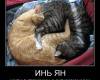 <b>Название: </b>Фотография 1, <b>Добавил:<b> SOLOMON<br>Размеры: 630x620, 76.6 Кб